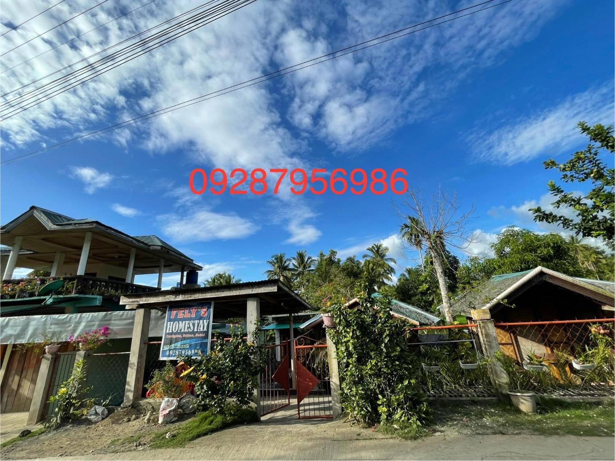 Fely'S Homestay Batuan Exteriör bild